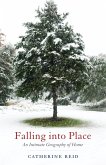 Falling into Place (eBook, ePUB)