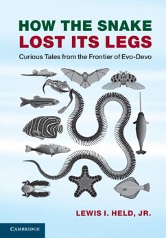 How the Snake Lost its Legs (eBook, PDF) - Lewis I. Held, Jr