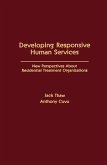 Developing Responsive Human Services (eBook, PDF)