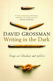 Writing in the Dark (eBook, ePUB)