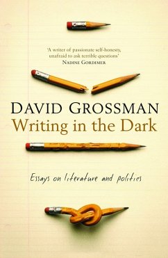 Writing in the Dark (eBook, ePUB) - Grossman, David