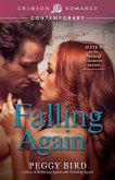 Falling Again (eBook, ePUB)
