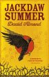 Jackdaw Summer (eBook, ePUB) - Bild 1