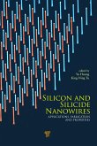 Silicon and Silicide Nanowires (eBook, PDF)