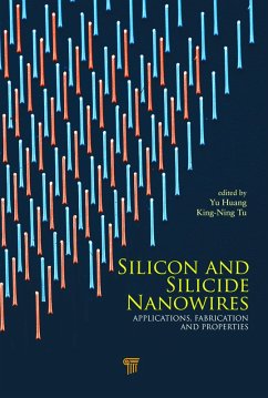 Cover Silicon and Silicide Nanowires (eBook, PDF)