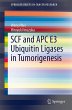 SCF and APC E3 Ubiquitin Ligases in... - Bild 1