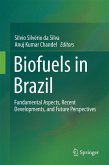 Biofuels in Brazil