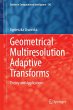 Geometrical Multiresolution Adaptive... - Bild 1