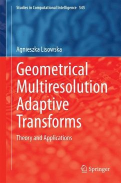 Geometrical Multiresolution Adaptive Transforms - Lisowska, Agnieszka