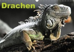 Drachen / Geburtstagskalender (Wandkalender immerwährend DIN A3 quer)