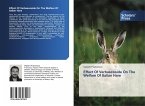 Effect Of Verbascoside On The Welfare Of Italian Hare