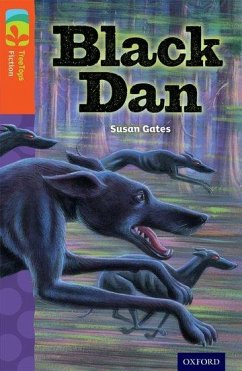 Oxford Reading Tree TreeTops Fiction: Level 13 More Pack A: Black Dan - Gates, Susan