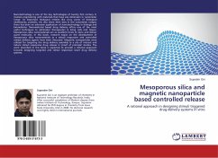 Mesoporous silica and magnetic nanoparticle based controlled release