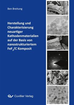 Herstellung und Charakterisierung neuartiger Kathodenmaterialien auf der Basis von nanostrukturiertem FeF2/C Komposit - Breitung, Ben