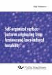 Self-organized surface patterns... - Bild 1
