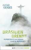 Brasilien brennt (eBook, ePUB)