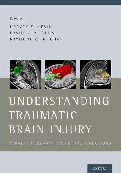 Understanding Traumatic Brain Injury (eBook, ePUB)