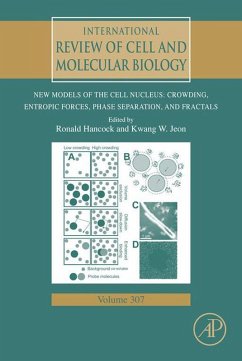 New Models of the Cell Nucleus: Crowding, Entropic Forces, Phase Separation, and Fractals (eBook, ePUB)
