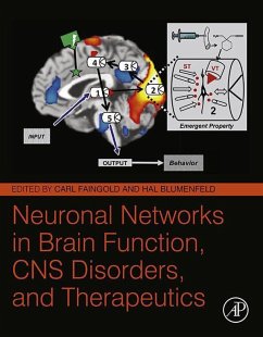 Neuronal Networks in Brain Function, CNS Disorders, and Therapeutics (eBook, ePUB)