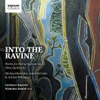 Into The Ravine-Werke Für Streichquartett