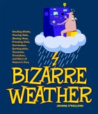 Bizarre Weather (eBook, ePUB)