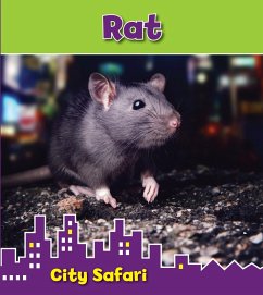 Rat (eBook, PDF) - Thomas, Isabel