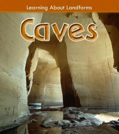 Cover Caves (eBook, PDF)