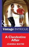 A Clandestine Affair (eBook, ePUB)