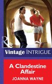 A Clandestine Affair (eBook, ePUB) A Clandestine Affair (eBook, ePUB)