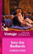 Into the Badlands (eBook, ePUB) - Bild 1