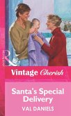 Santa's Special Delivery (eBook, ePUB)