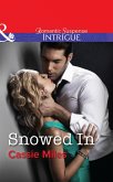 Snowed In (eBook, ePUB)