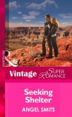 Seeking Shelter (Mills & Boon Vintage Superromance) (eBook, ePUB)
