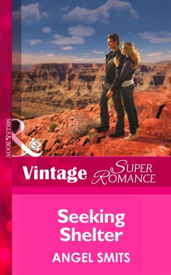 Seeking Shelter (eBook, ePUB) - Smits, Angel