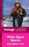 Wide Open Spaces (Mills & Boon Vintage Superromance) (Home on the Ranch, Book 23) (eBook, ePUB)