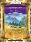 Wyoming Wildfire (Mills & Boon Historical) (eBook, ePUB)