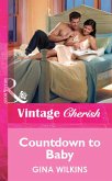 Countdown to Baby (Mills & Boon Vintage Cherish) (eBook, ePUB)