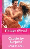 Caught By Surprise (eBook, ePUB)