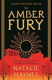 The Amber Fury (eBook, ePUB)