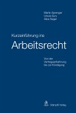 Kurzeinführung ins Arbeitsrecht