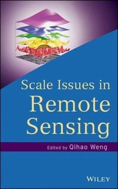 Scale Issues in Remote Sensing (eBook, ePUB) - Weng, Qihao