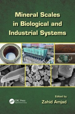 Mineral Scales in Biological and Industrial Systems (eBook, PDF)