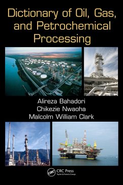 Dictionary of Oil, Gas, and Petrochemical Processing (eBook, PDF) - Bahadori, Alireza; Nwaoha, Chikezie; Clark, Malcolm William