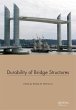 Durability of Bridge Structures (eBook,... - Bild 1