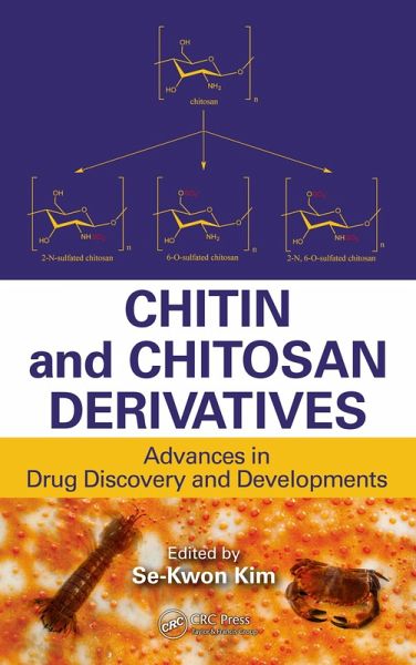 Chitin and Chitosan Derivatives (eBook, PDF)