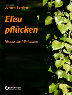 Efeu pflücken (eBook, PDF) - Borchert, Jürgen