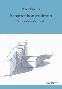 Cover Schattenkonstruktion (eBook, ePUB)