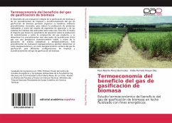 Termoeconomía del beneficio del gas de gasificación de biomasa - Pérez Bermúdez, Raúl Alberto;Roque Díaz, Pablo Romelio