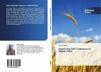 Improving Salt Tolerance in Wheat Plant