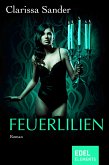 Feuerlilien (eBook, ePUB)